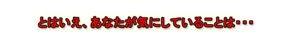 とはいえ、あなたが気にしていることは・・・